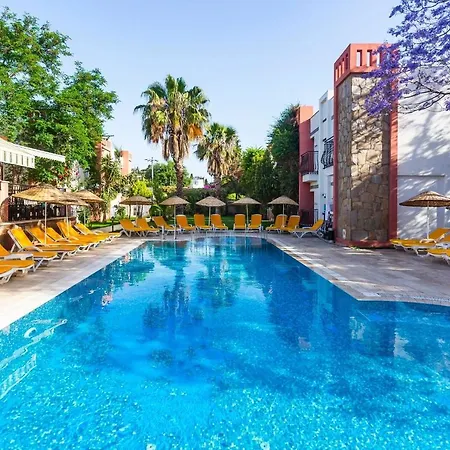 Kriss Bodrum