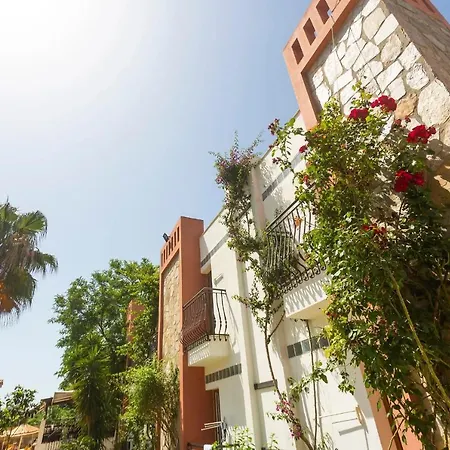 Kriss Αλικαρνασσός